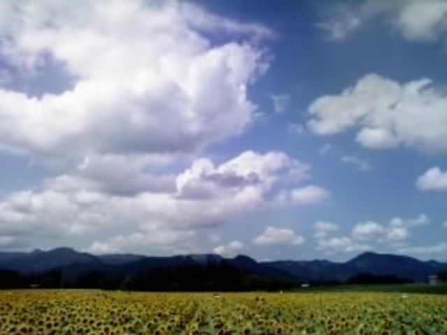 �Ó�Ђ܂��L��