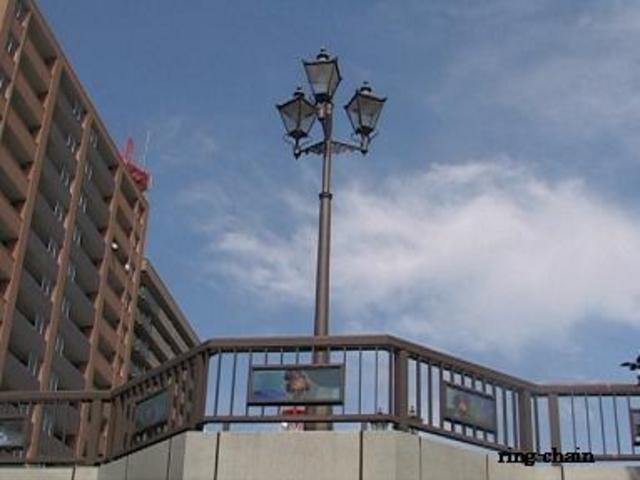 ����V���D