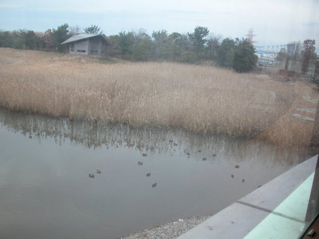 �C���o�[�h�p�[�N�^�x�R�V�`�ՊC�쒹��