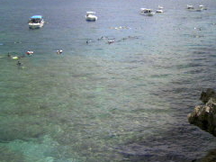 �^�h�c���̎ʐ^1