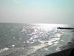 bR̓mr[`h&mቤւ̓eʐ^1