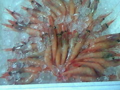 u[񂳂̓̉w ɓ}^Eւ̓eʐ^1