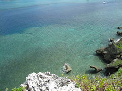 ���Ⴈ����̖����тւ̓��e�ʐ^1