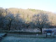 �E�H�[��������̃q�g�c�o�^�S�����n�̓��e�ʐ^1