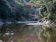 񂿂񂳂̕ʎqC̓eʐ^1