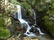 ĂĂ񂳂̈،ȏ̓eʐ^1