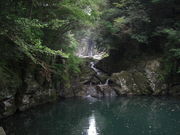 ĂĂ񂳂̐ȌkJ̓eʐ^1