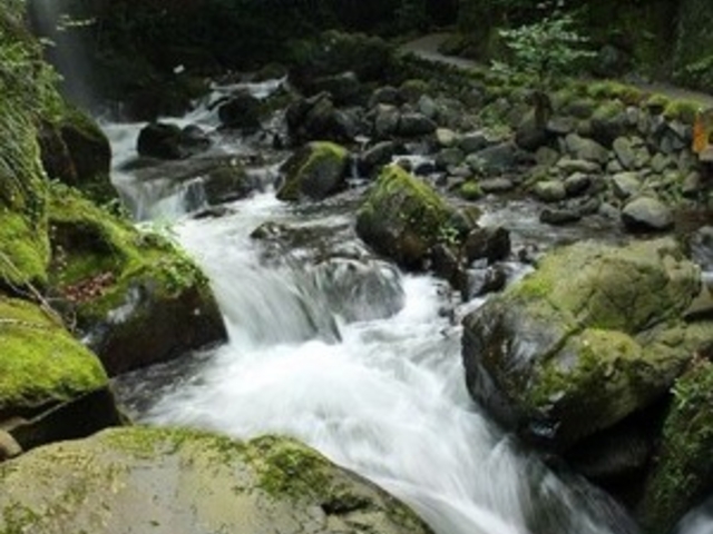 ���t�����@