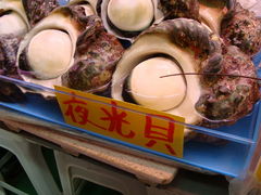 l񂳂̑quݎsւ̓eʐ^1