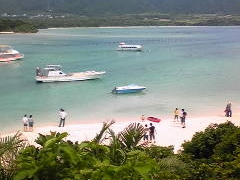 �҂�����񂳂�̐약�p�ւ̓��e�ʐ^1