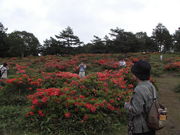 Gm񂳂̓̊ێR̓eʐ^1