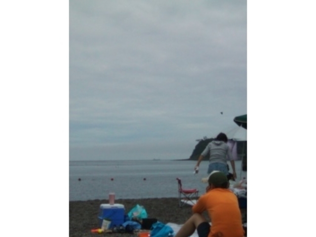 ��ނ��邩�l����