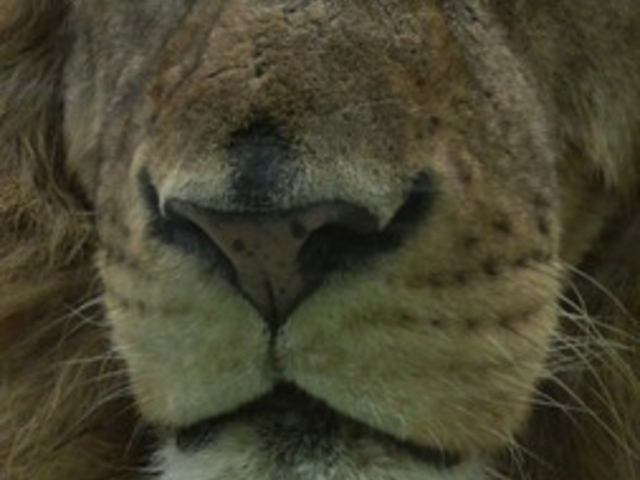 �~�R������