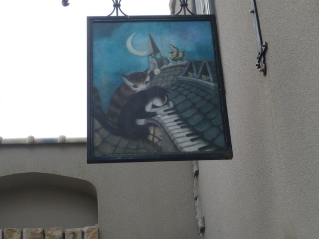 �͌��Ζ؃m�Ԕ��p��