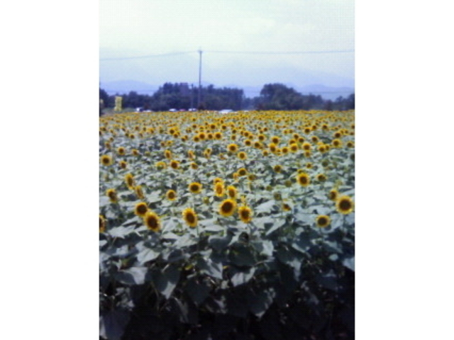 �n�C�W�̑��@�N������