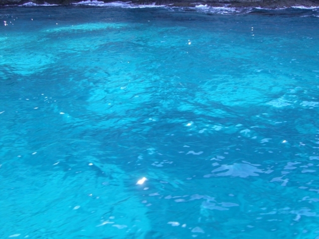 �����W�]�D��j���[���Ⴑ���񍆣