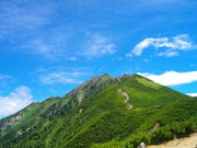 񂯂񂯂̐䍂x̓eʐ^1