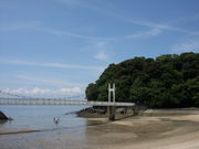 Lǂ񂳂̓̎C݂̓eʐ^1