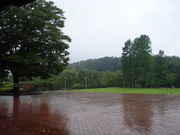 ƂȂ񂳂̊茧ق̓eʐ^1