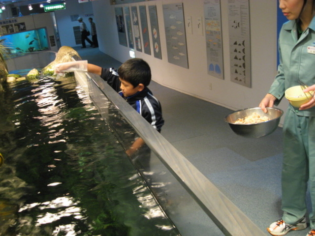 �T�P�̂ӂ邳�Ɛ�ΐ�����