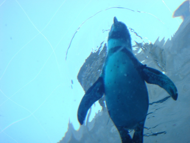 ���R������