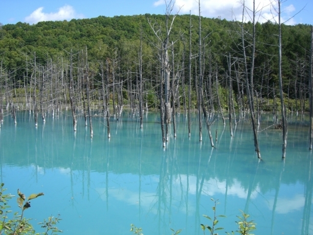 �т�����������ό��g��