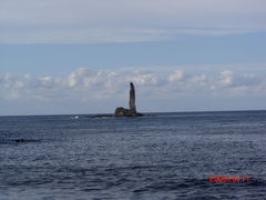 ���[�\�N��̎ʐ^1