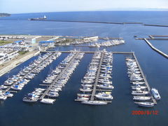 ���M�`�}���[�i�̎ʐ^1