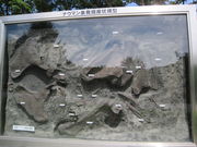 HirõiE}ۉΔ@̓eʐ^1