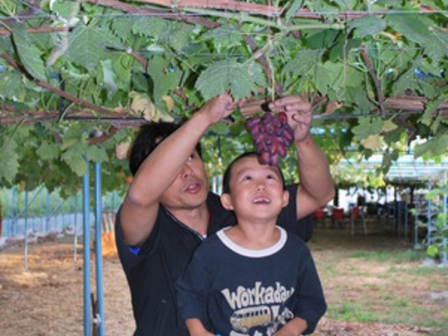 �a�@�c�������@�C�����[�h���t�@�[��