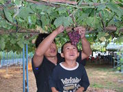 L̘a@c@C[ht@[̓eʐ^1