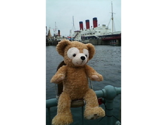 �����f�B�Y�j�[�V�[(R)