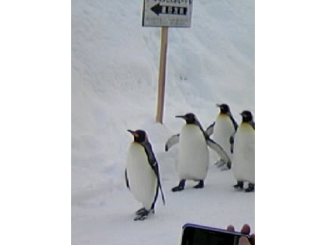 ���R������