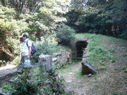 EH[̎R̐_ˌÕ̓eʐ^1