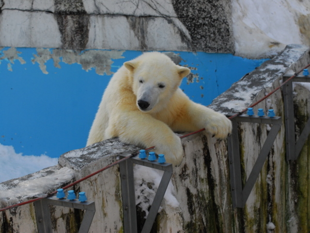 �~�R������