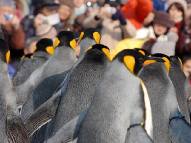 ���R������