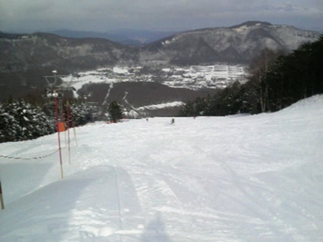 �u�����V��������܃X�L�[��