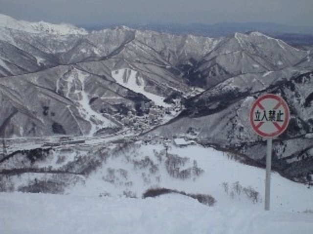 �c��X�L�[��