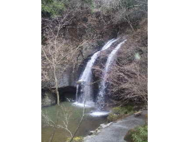 ���҂̑���݂���