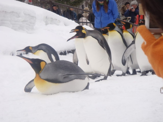 ���R������