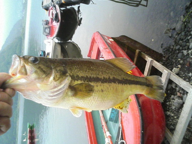 momõ{[gnEXȂ̓eʐ^1