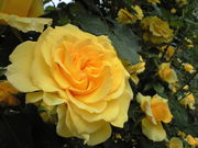 ݁[т̈{،̃o̓eʐ^1