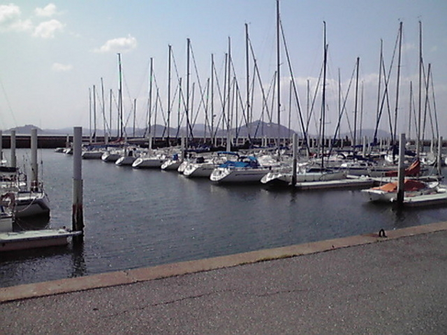 �����s���b�g�n�[�o�[