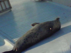 ̓mr[`h&mቤւ̓eʐ^1