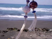 �T�L����َ̊R�̌��H�[�̓��e�ʐ^1