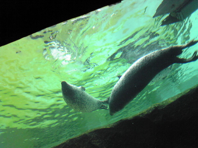 ���R������