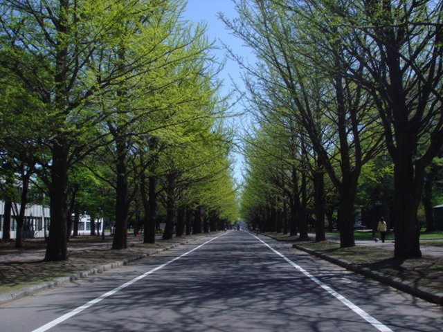 �k��C�`���E����