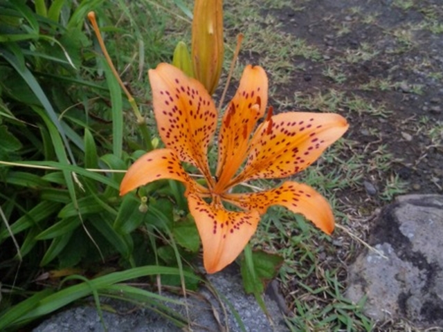 �{��b��{��