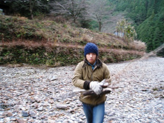 kametaro36̑哃kJ̓eʐ^1