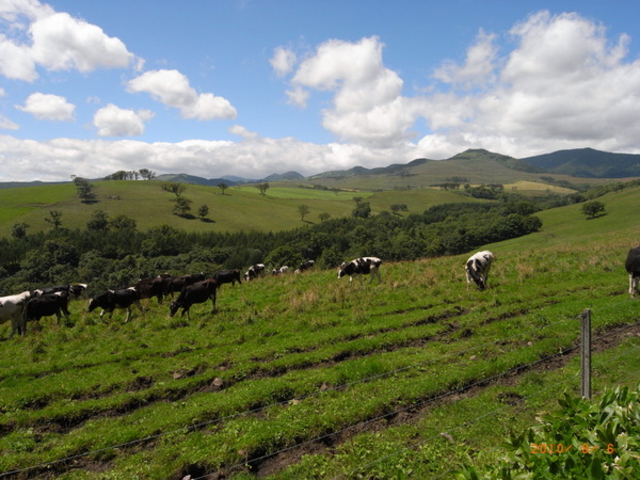 �i�C�^�C�����q��i�C�^�C�e���X